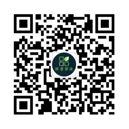 陕西领焕园林绿化工程有限公司